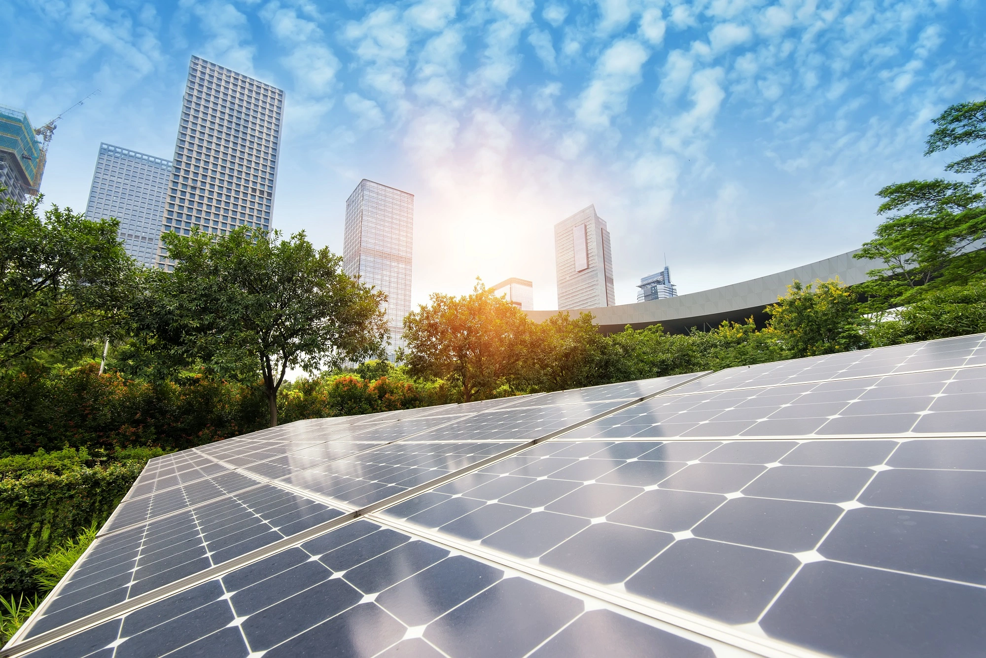 Commercial Rooftop Solar